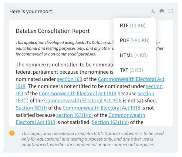 DataLex Report generated after a consultation.